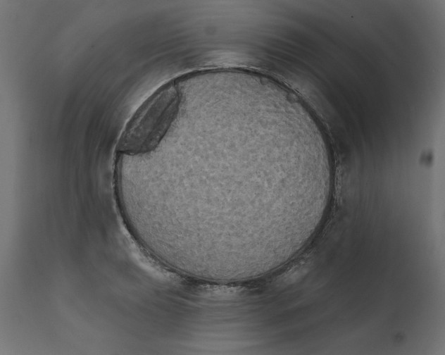 X0000111481039200907281157