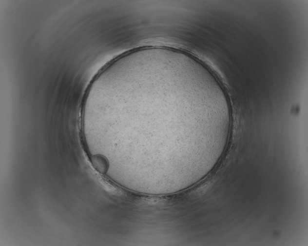X0000111481040200907281157