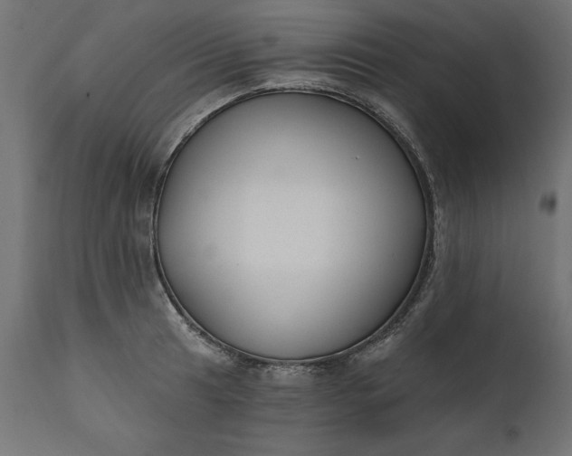 X0000111481041200907281157