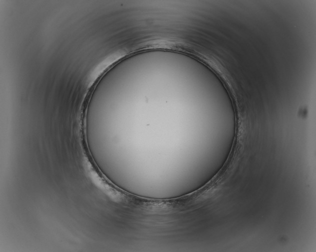 X0000111481042200907281158