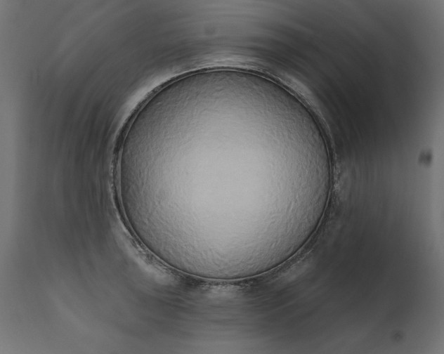 X0000111481043200907281158