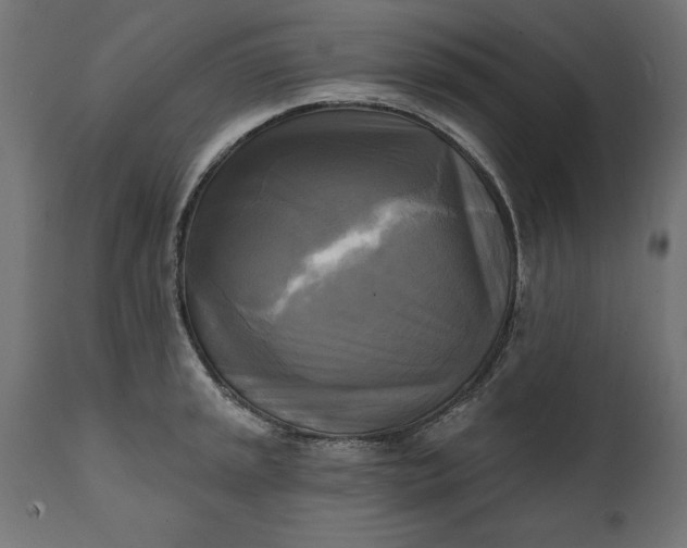 X0000111481045200907281158