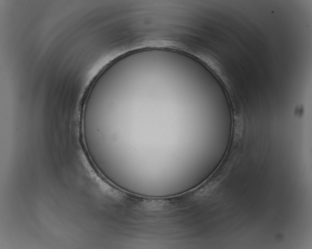 X0000111481046200907281158