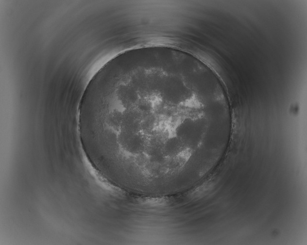 X0000111481047200907281158