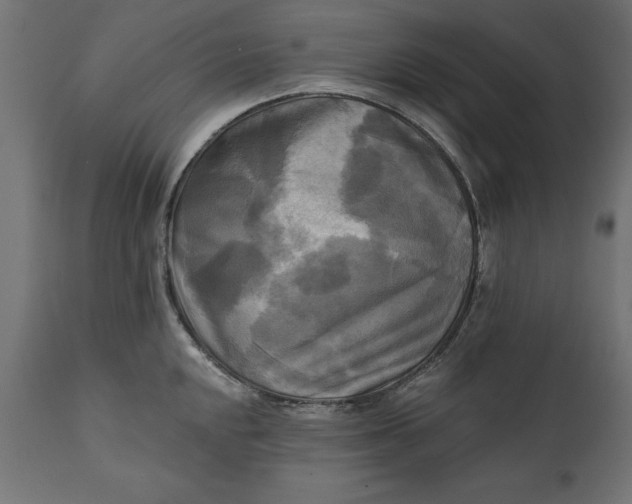 X0000111481048200907281158