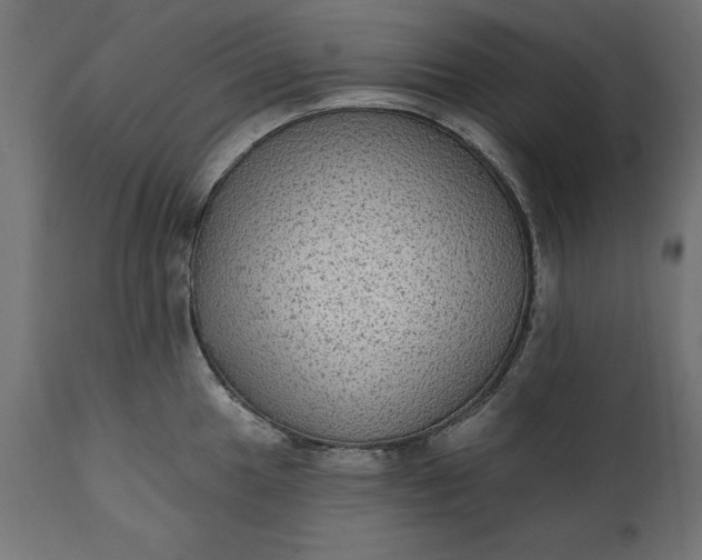 X0000111481049200907281158