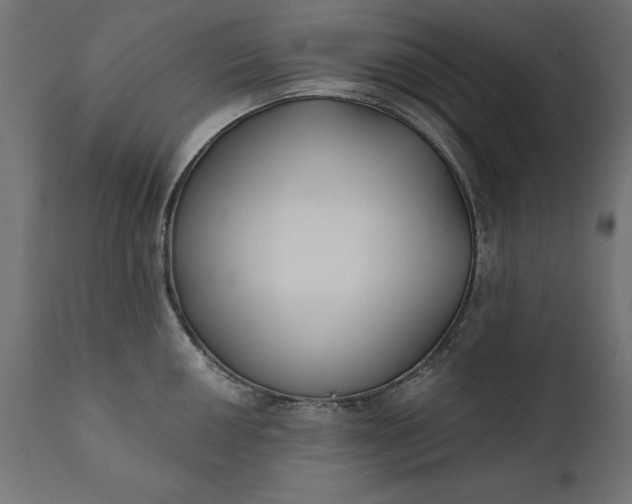 X0000111481050200907281158