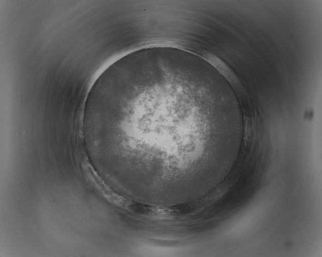 X0000111481052200907281158