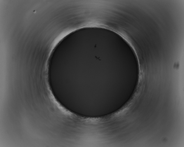 X0000111481053200907281158