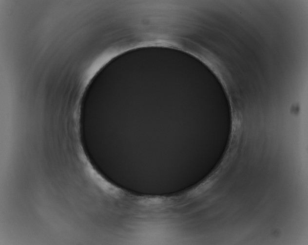X0000111481054200907281158