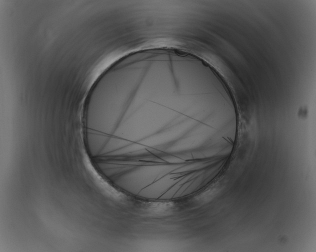 X0000111481055200907281158