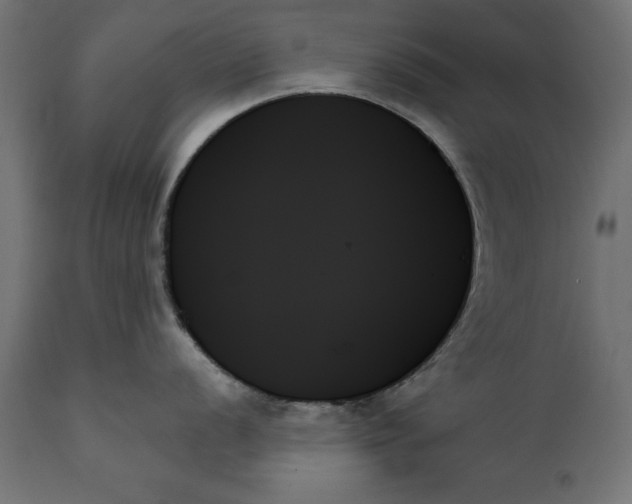 X0000111481056200907281158