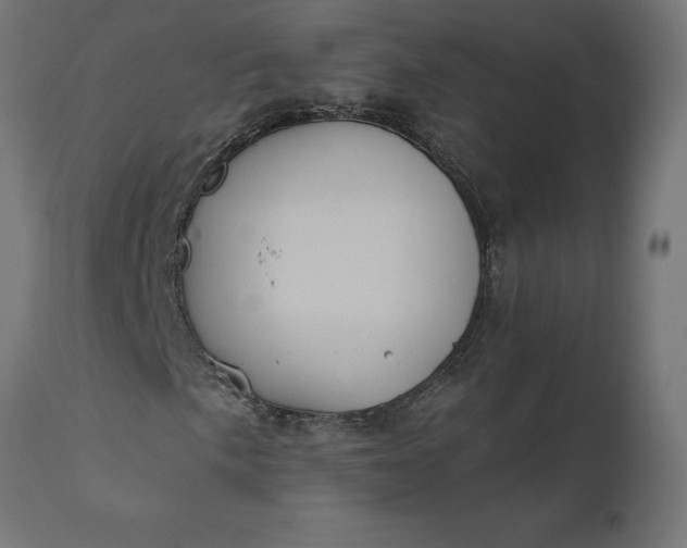 X0000111481057200907281157