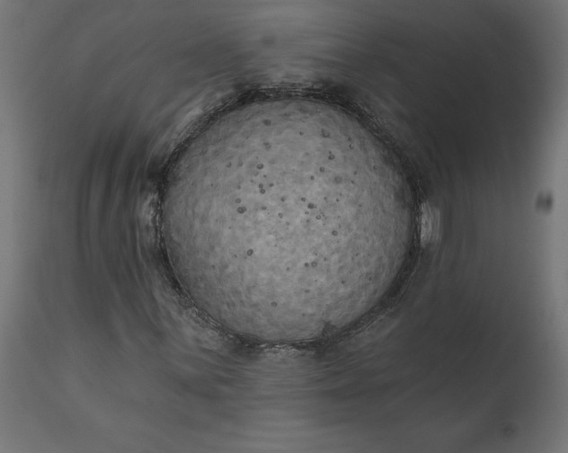 X0000111481059200907281157