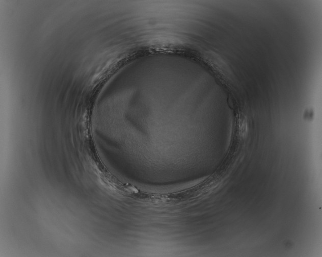 X0000111481060200907281157