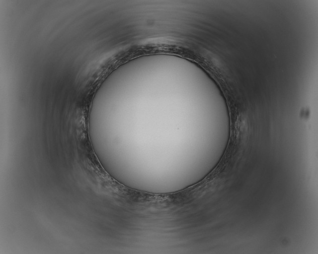 X0000111481062200907281157