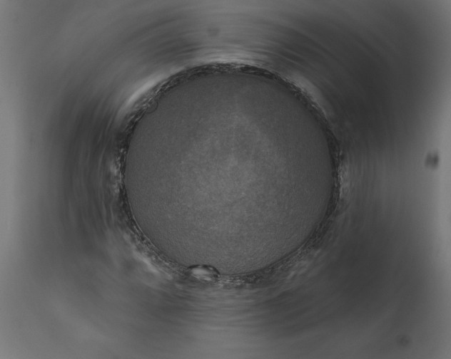X0000111481064200907281157