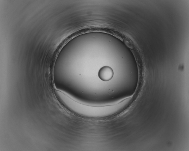 X0000111481065200907281157