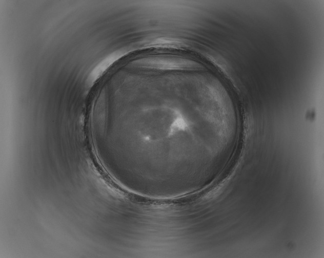 X0000111481066200907281157