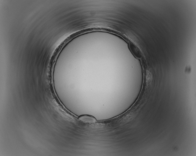X0000111481068200907281157