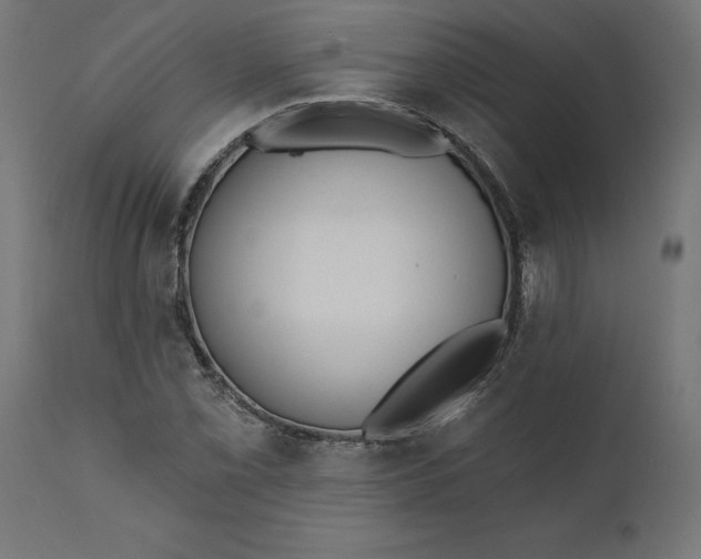 X0000111481069200907281157