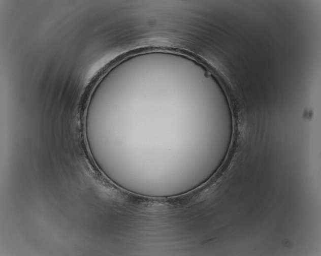 X0000111481070200907281157