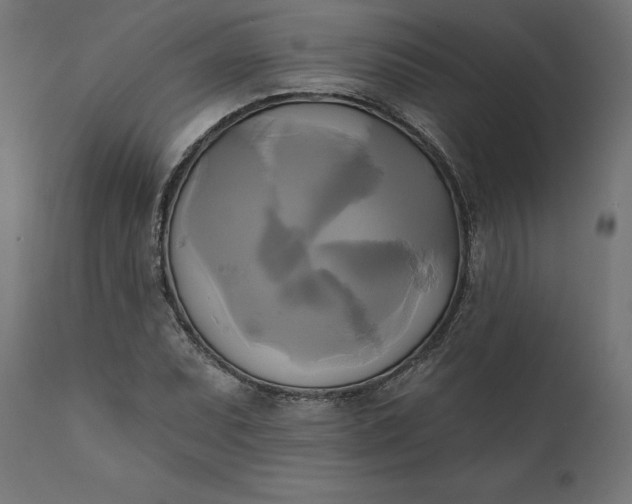 X0000111481071200907281157