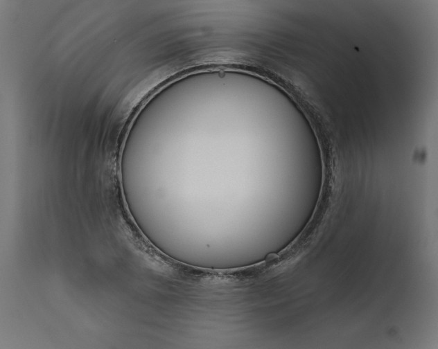 X0000111481073200907281157