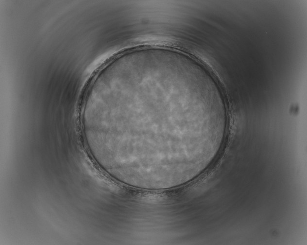 X0000111481074200907281157