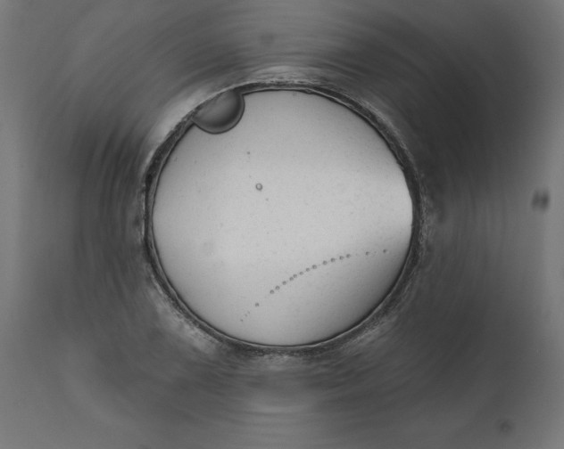 X0000111481075200907281157