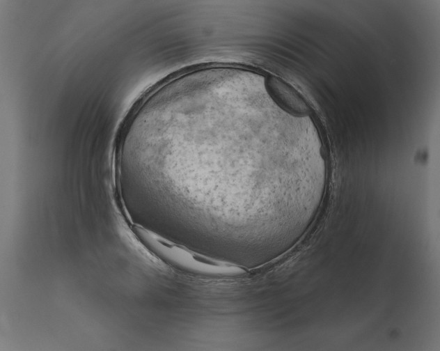 X0000111481080200907281157