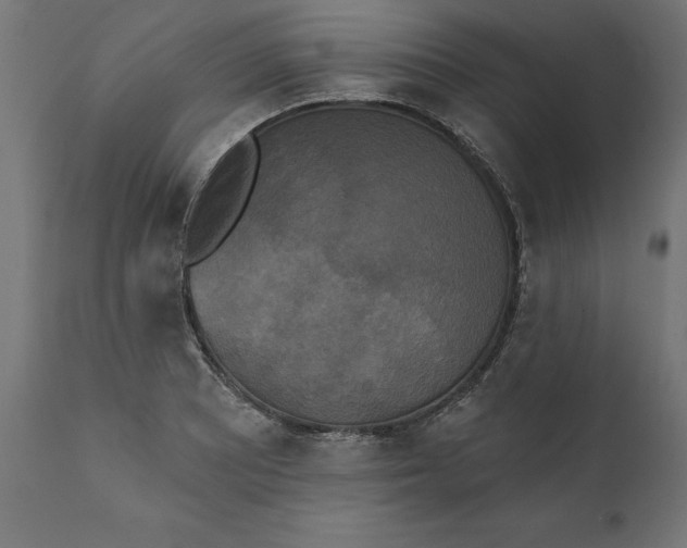 X0000111481081200907281157