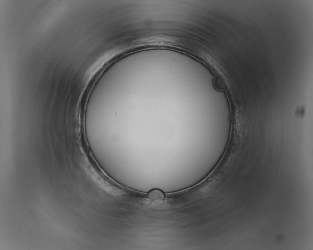 X0000111481082200907281157