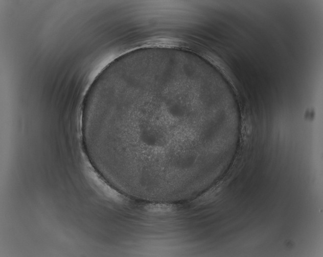 X0000111481083200907281157