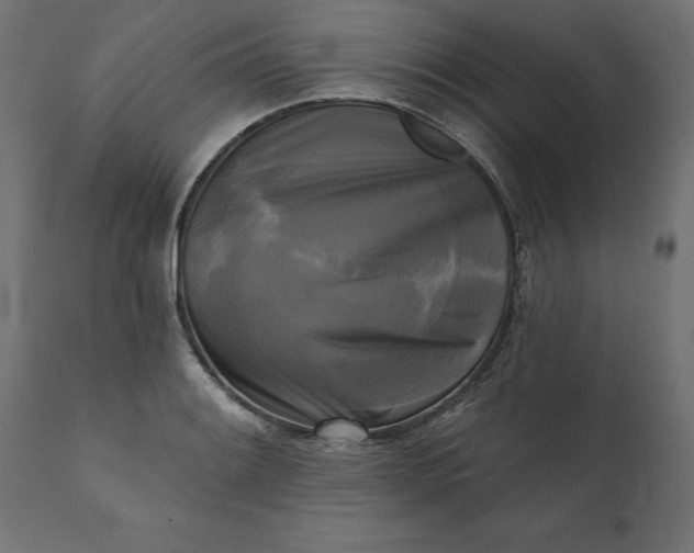 X0000111481084200907281157