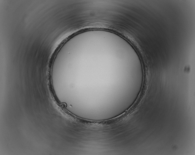 X0000111481085200907281157