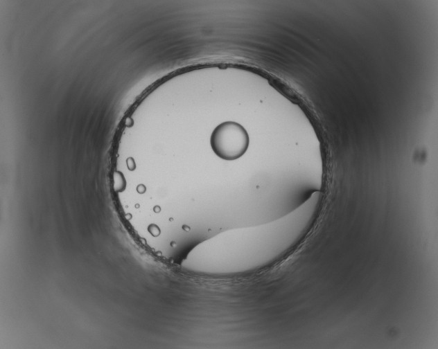 X0000111481086200907281157