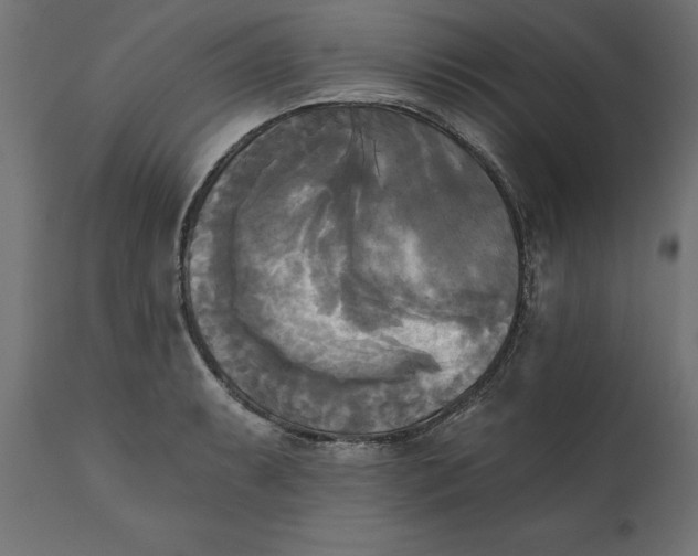 X0000111481087200907281157