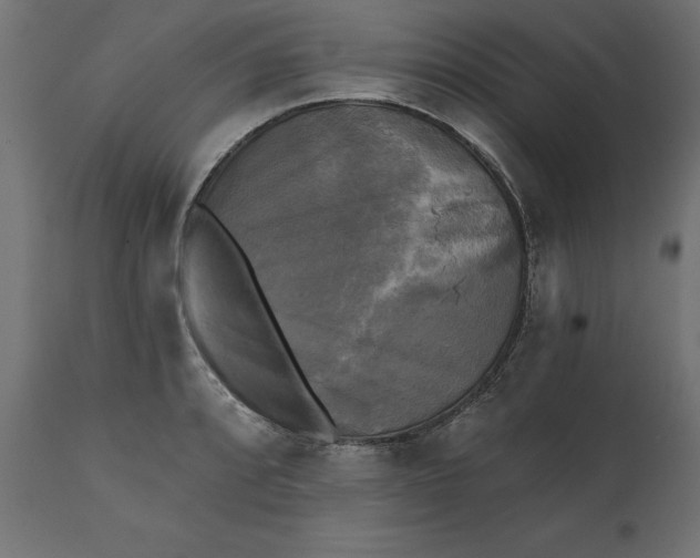 X0000111481088200907281157