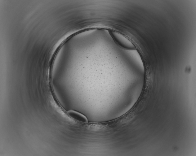 X0000111481092200907281157