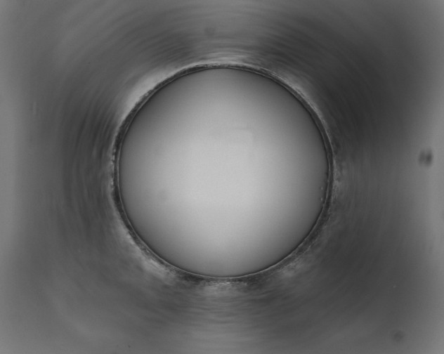 X0000111481093200907281157