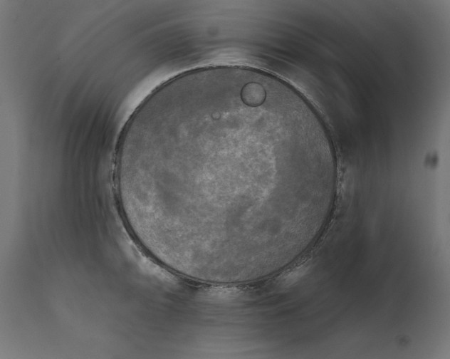 X0000111481094200907281157