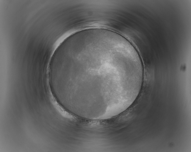 X0000111481098200907281156