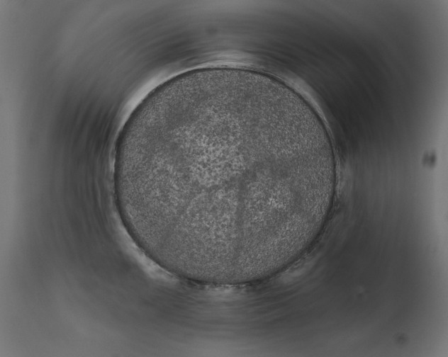 X0000111481099200907281156