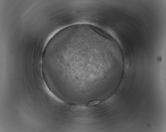 X0000111481100200907281156