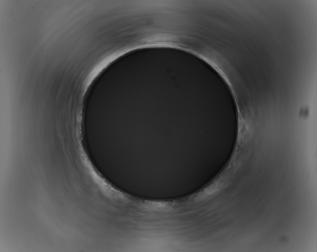 X0000111481101200907281156