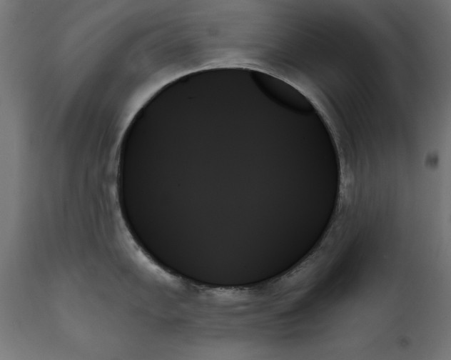 X0000111481102200907281156