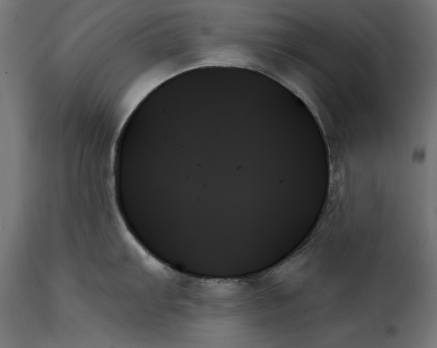 X0000111481103200907281156