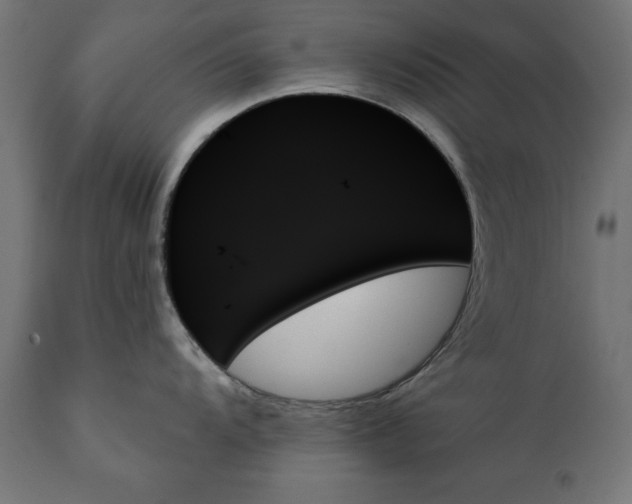 X0000111481104200907281156