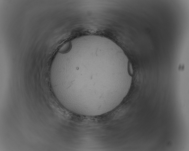 X0000111481105200907281156